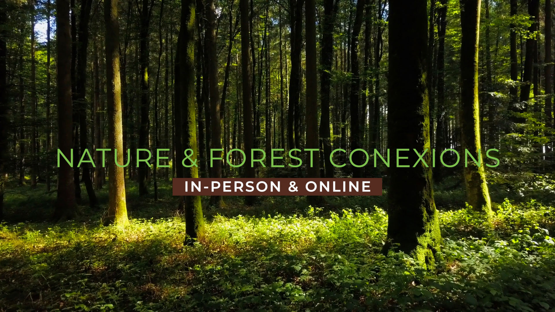 Services | Nature-Based Connections | Conservation Conexions