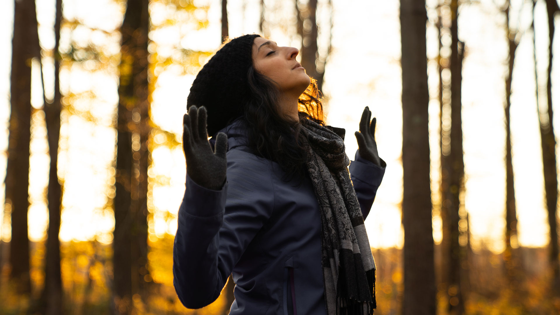 Conservation Conexions forest bathing