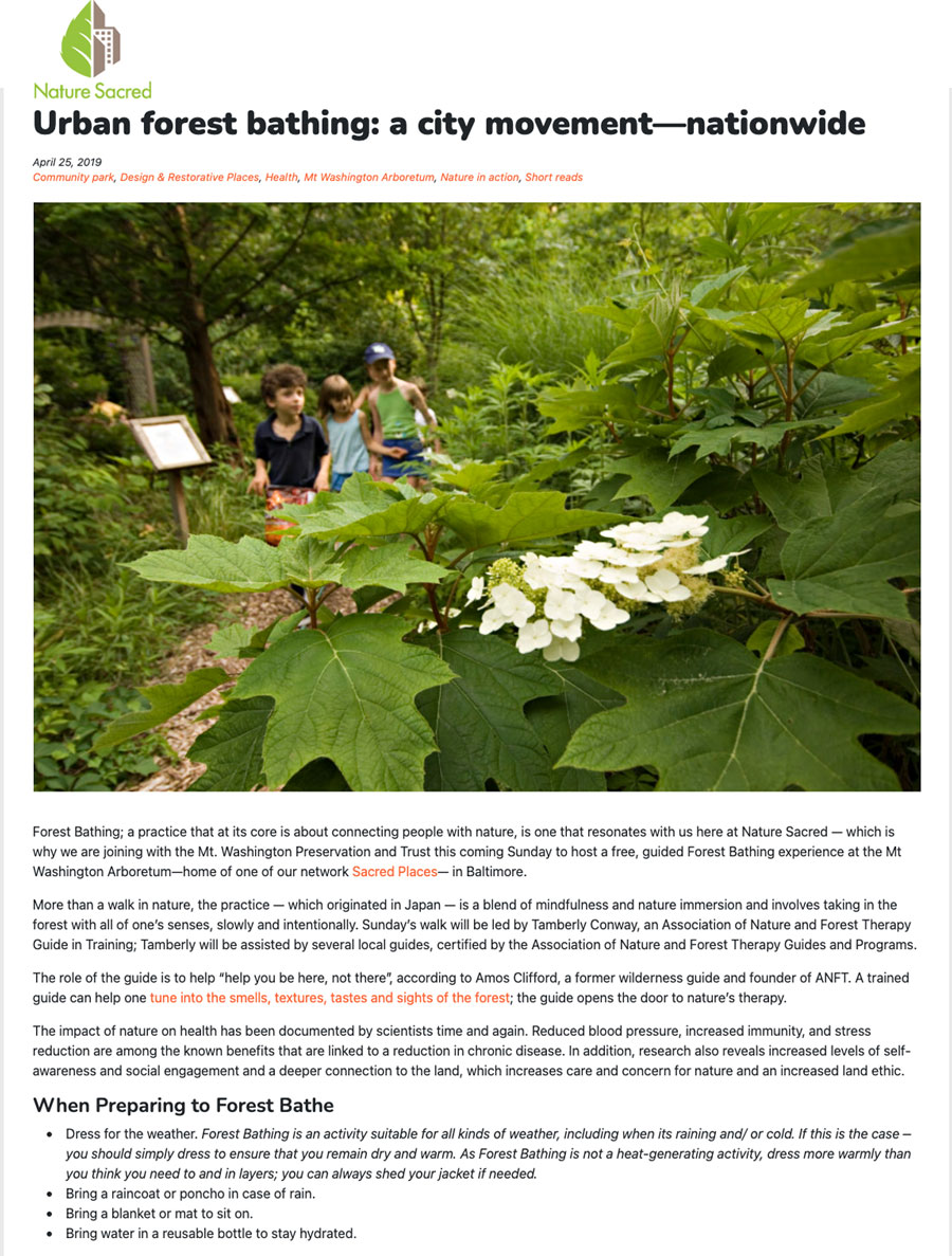 Nature Sacred Urban forest bathing: a city movement—nationwide