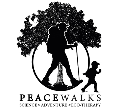 Peace Walks - Partners